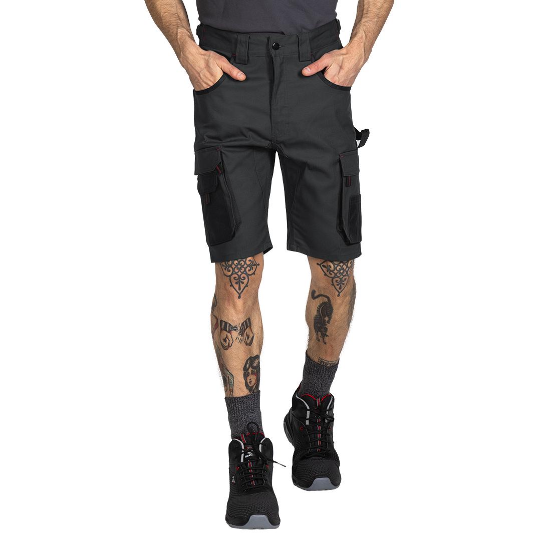 RAPID BERMUDA, bermuda pune